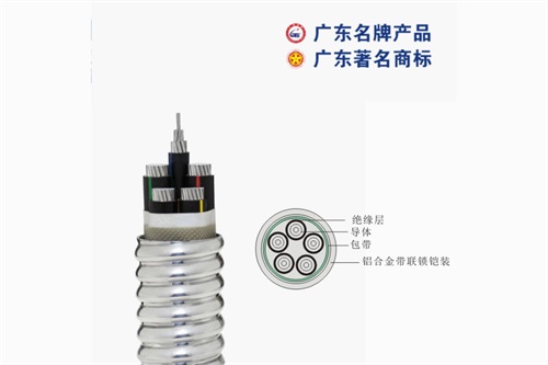 珠江電線機(jī)構(gòu)倡導(dǎo)服務(wù)品質(zhì)全方位加強